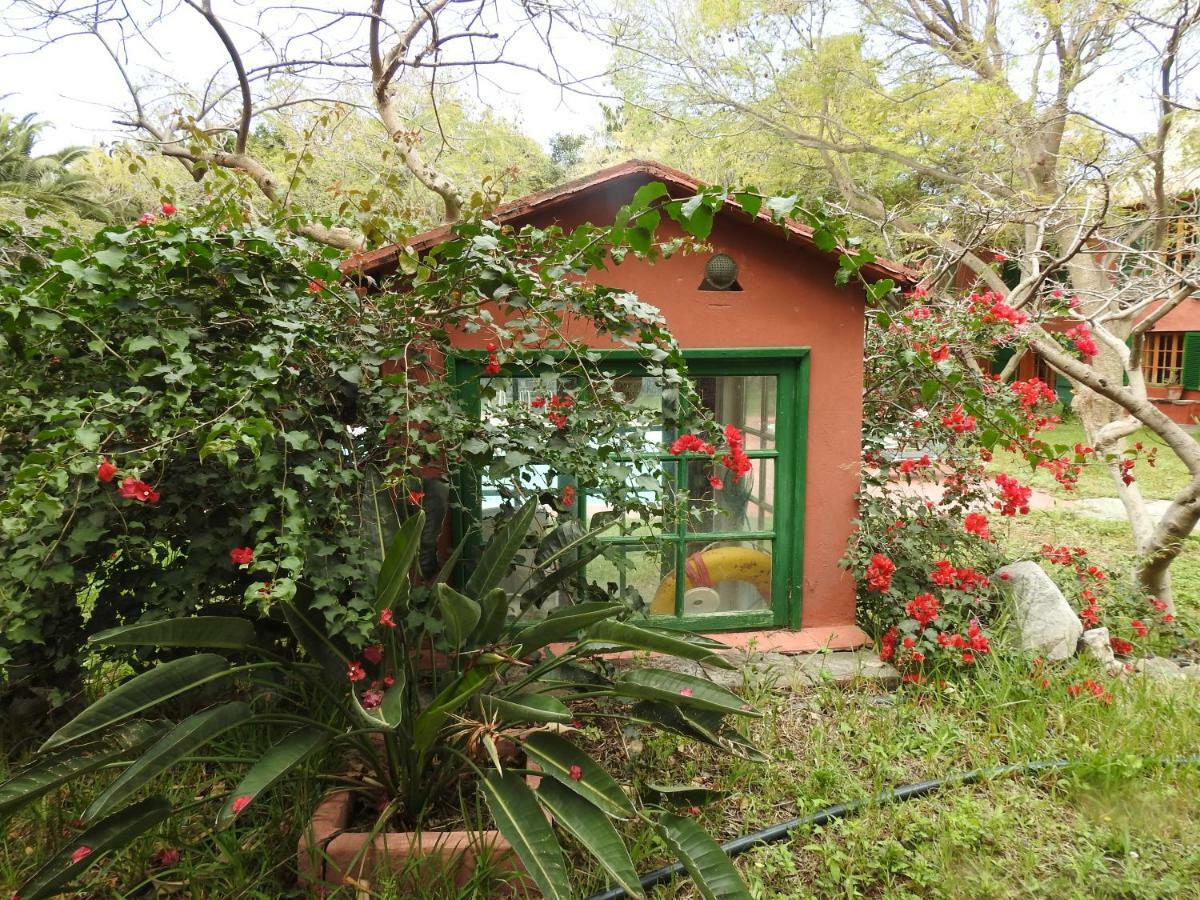 La Casa Del Molino De Viento Villa Agaete  Luaran gambar